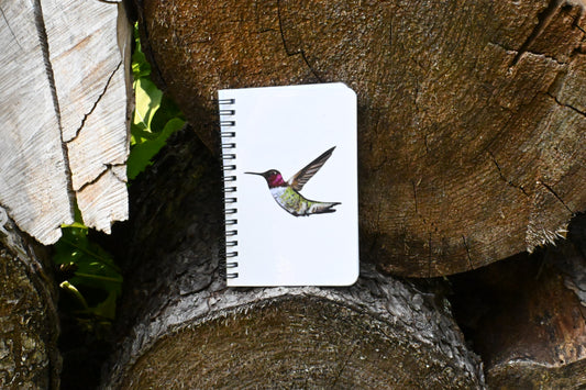 Hummingbird Hand-Drawn Notebook