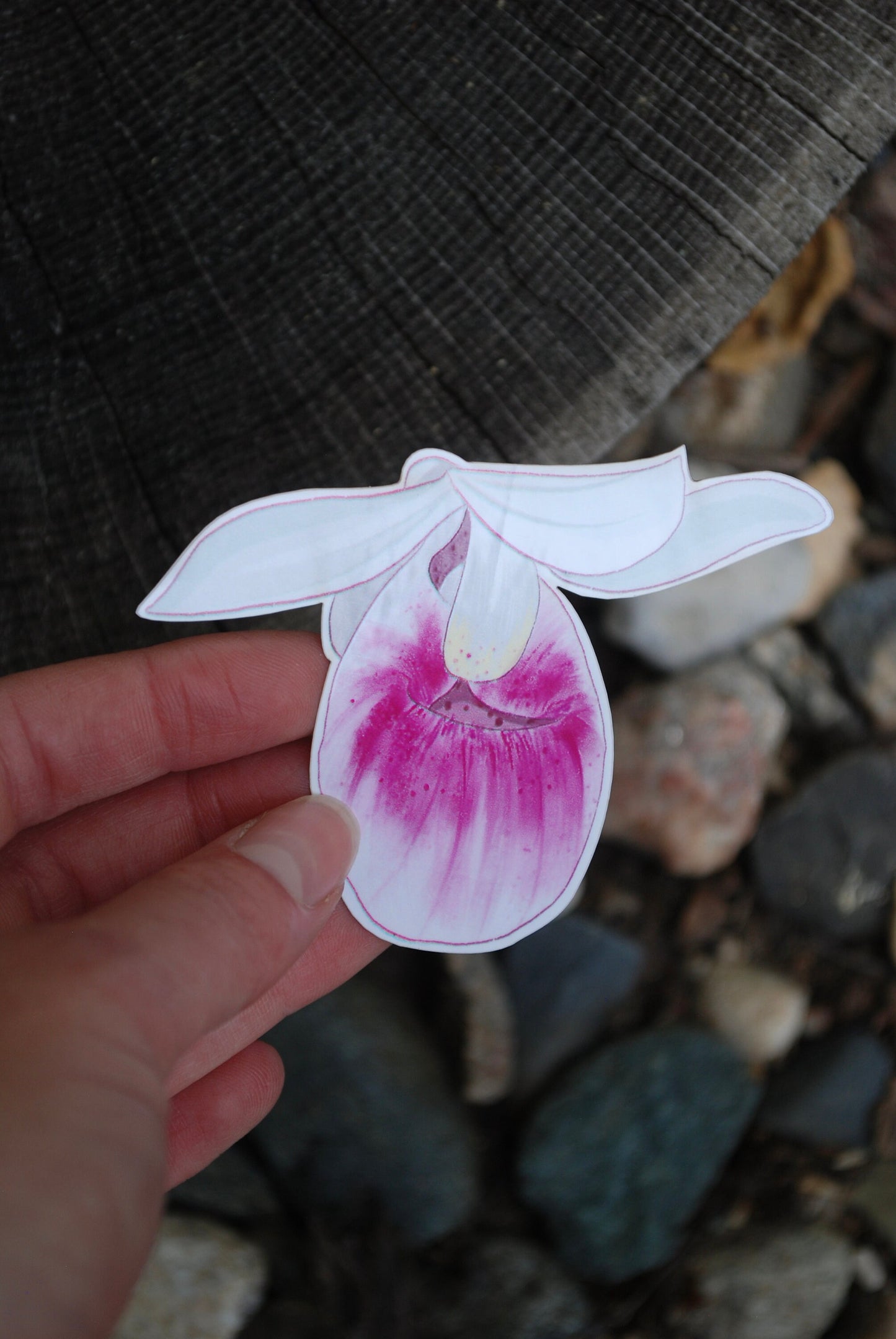 Lady Slipper Sticker: MN State Flower, Waterproof Decal