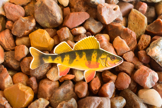 Yellow Perch Sticker: Waterproof Lake Fish Decal