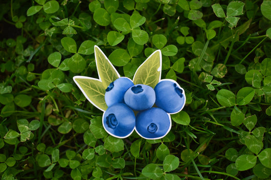 Blueberries Sticker: Waterproof Laptop Decal, Hand Illustrated