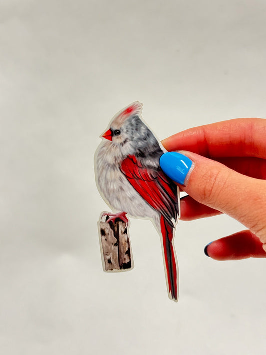 Female Cardinal Sticker: Waterproof Bird Decal