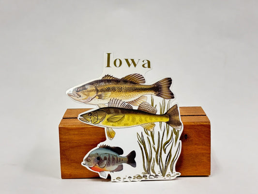 Iowa Fish Sticker: Hand-Drawn Waterproof Fishing Decal