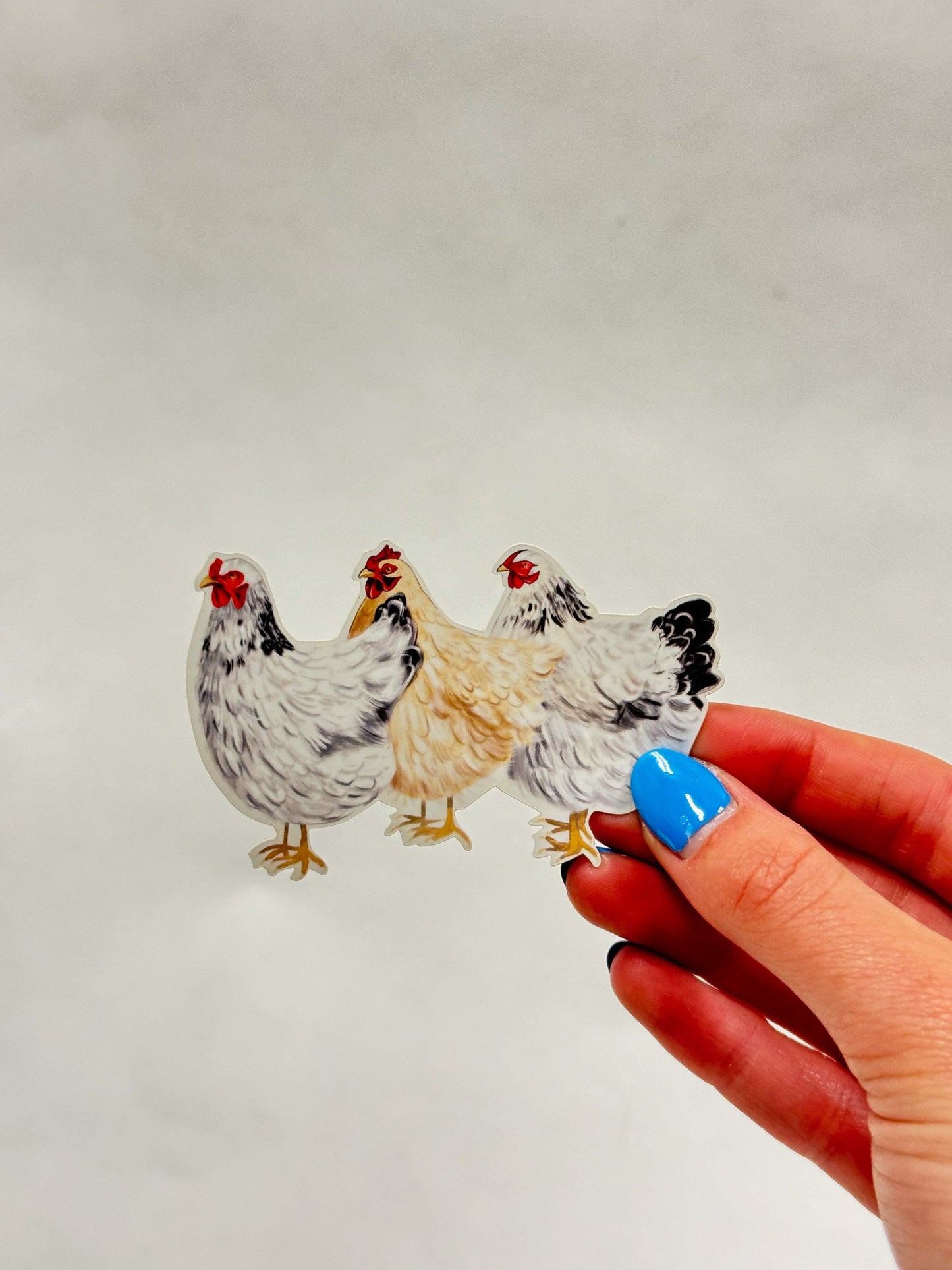 3 Chickens Sticker: Waterproof Farm Animal Decal