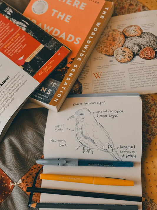 The Mourning Dove