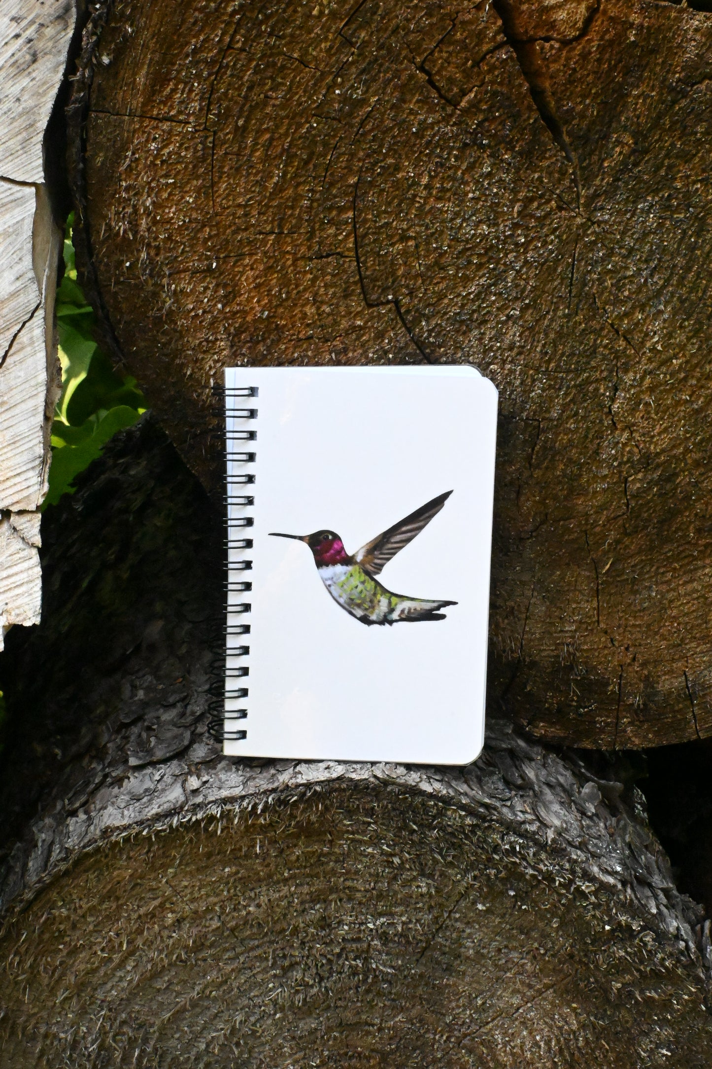 Hummingbird Hand-Drawn Notebook