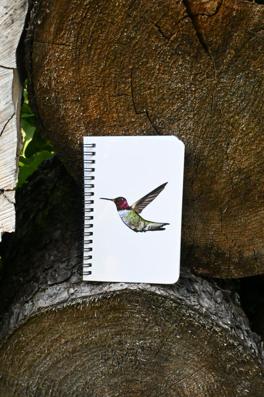 Hummingbird Hand-Drawn Notebook