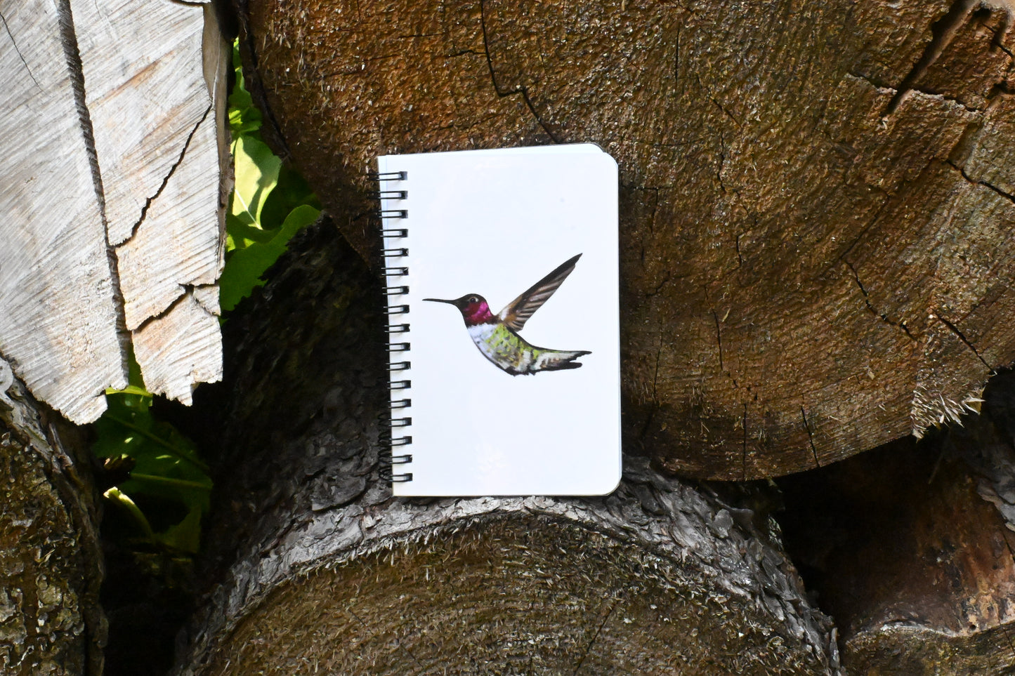 Hummingbird Hand-Drawn Notebook