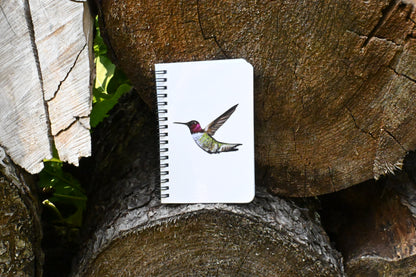 Hummingbird Hand-Drawn Notebook