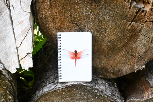 Dragonfly Hand-Drawn Notebook