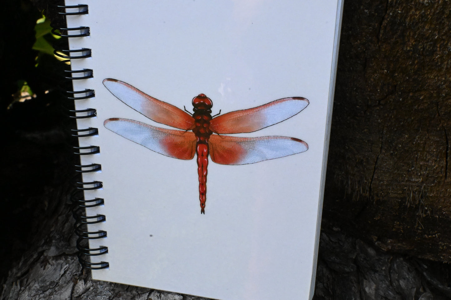 Dragonfly Hand-Drawn Notebook