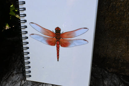 Dragonfly Hand-Drawn Notebook