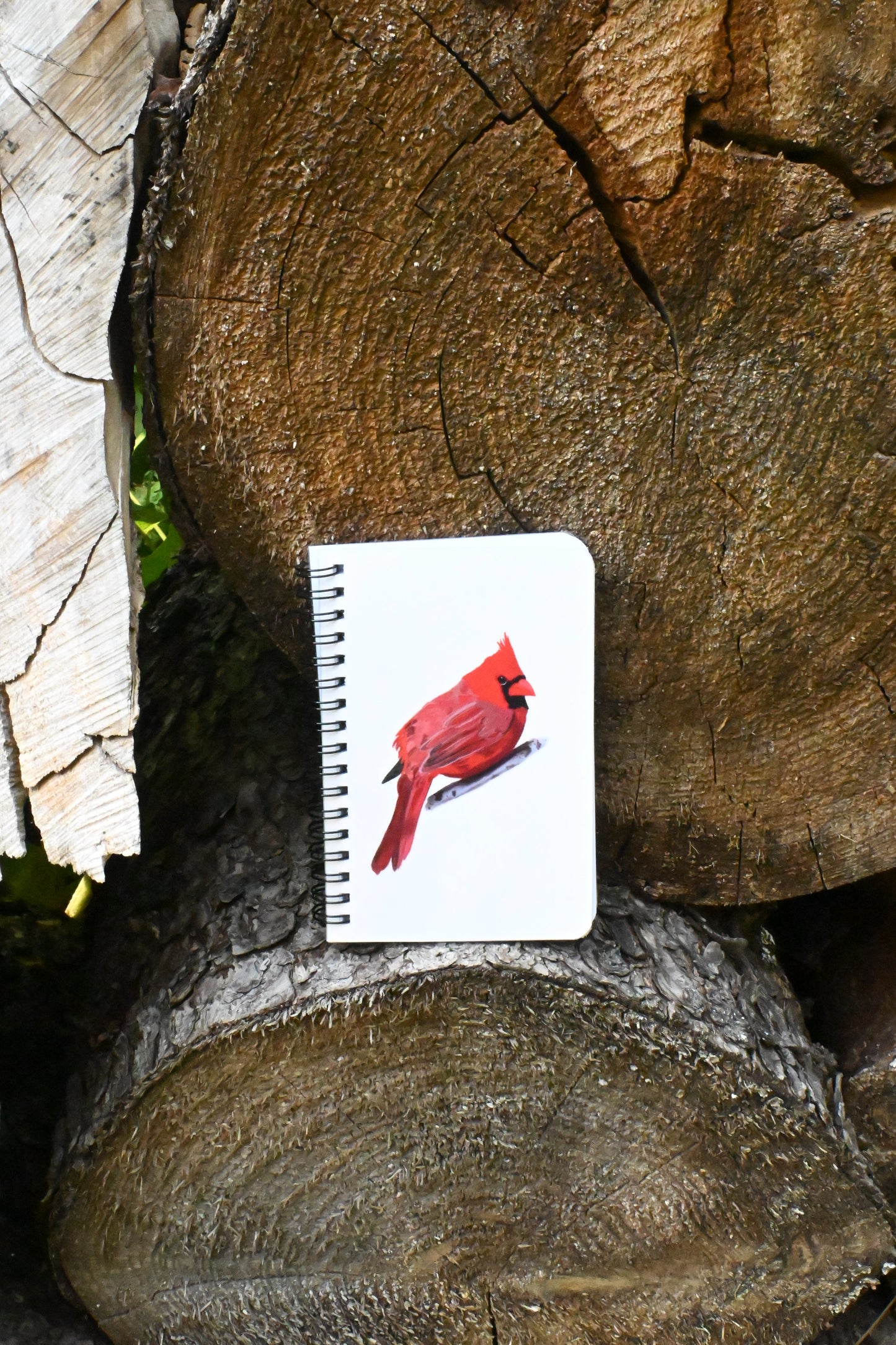 Cardinal Hand-Drawn Notebook