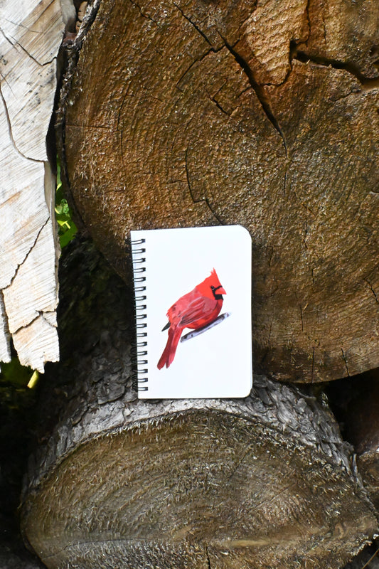 Cardinal Hand-Drawn Notebook