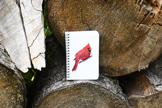 Cardinal Hand-Drawn Notebook