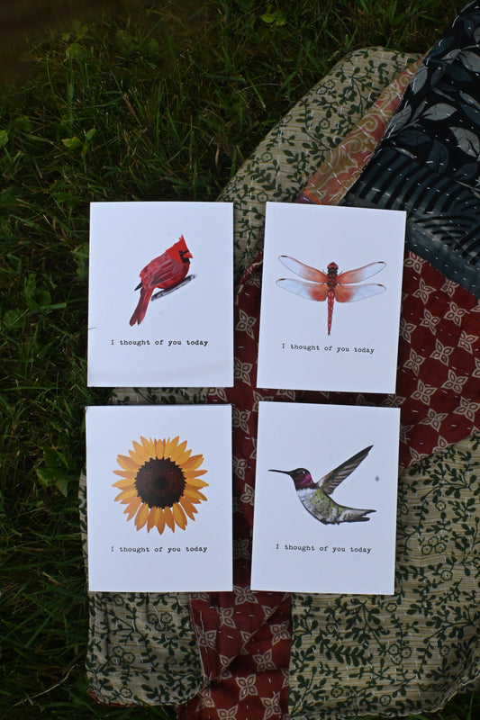 I Thought of You Today Nature Card Collection