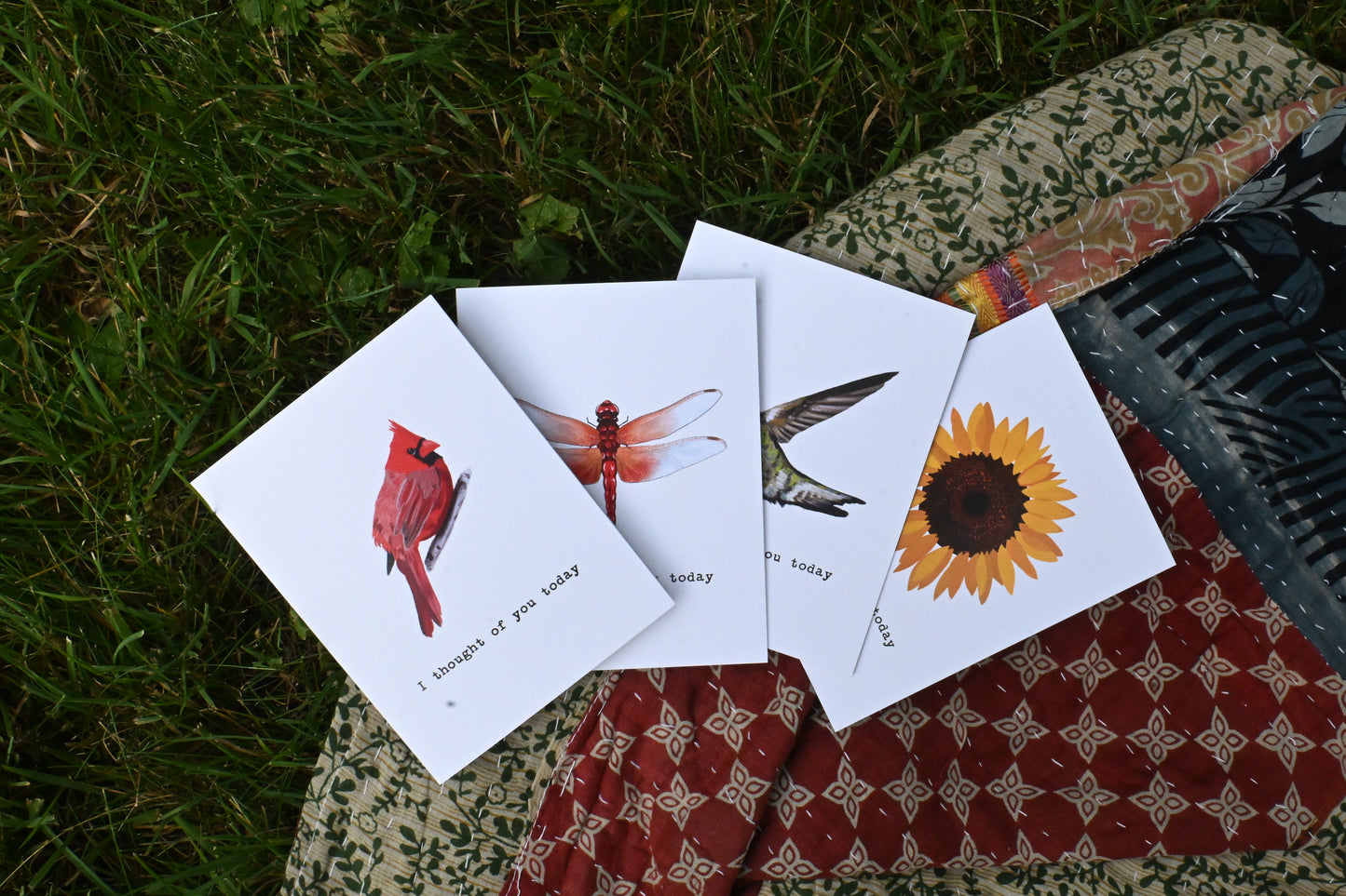 I Thought of You Today Nature Card Collection