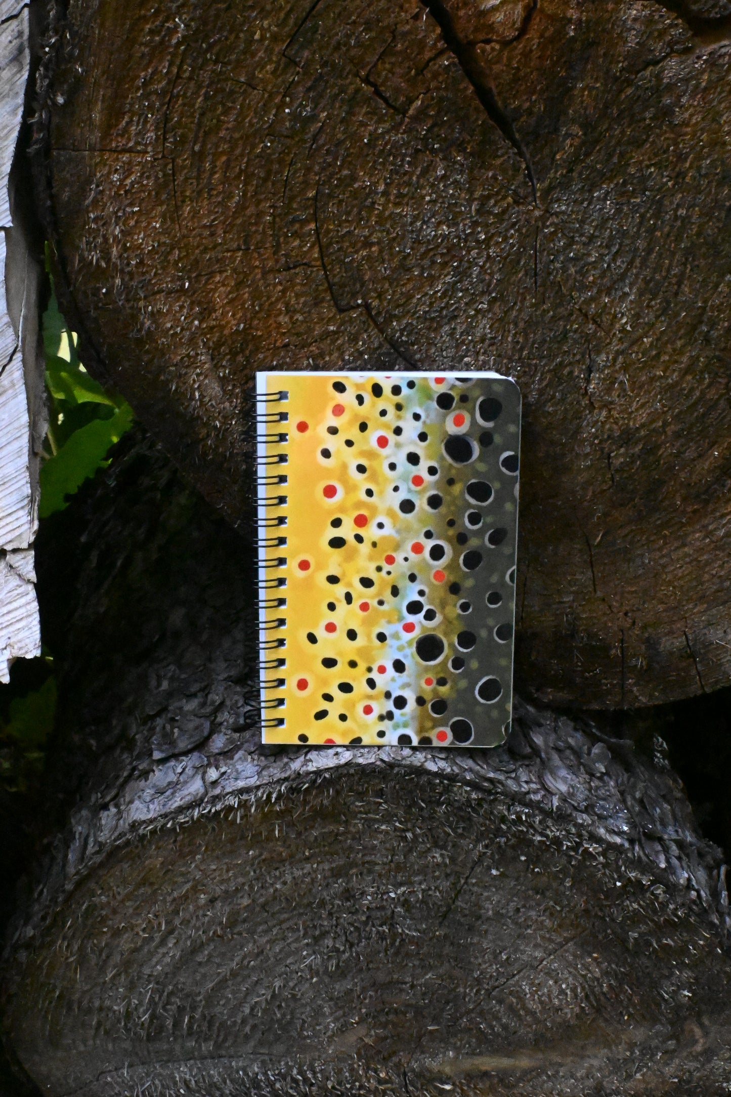 Brown Trout Notebook | Spiral 4 x 6 Laminated Journal