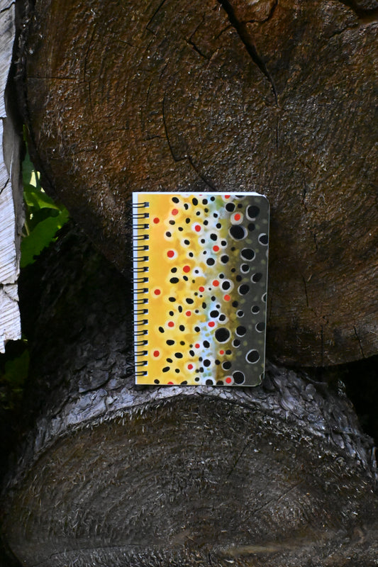 Brown Trout Notebook | Spiral 4 x 6 Laminated Journal