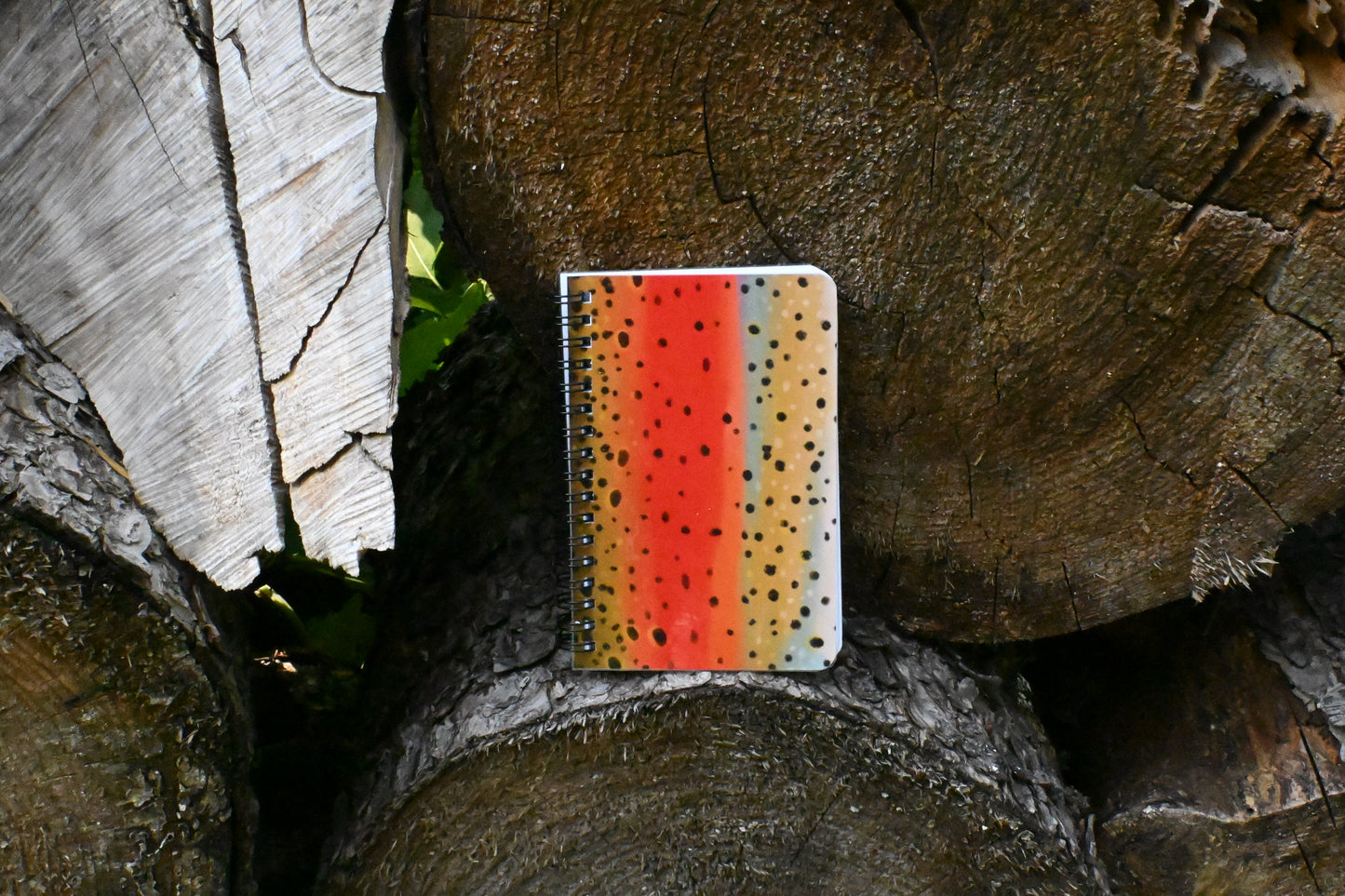 Rainbow Trout Notebook | Spiral 4 x 6 Laminated Journal