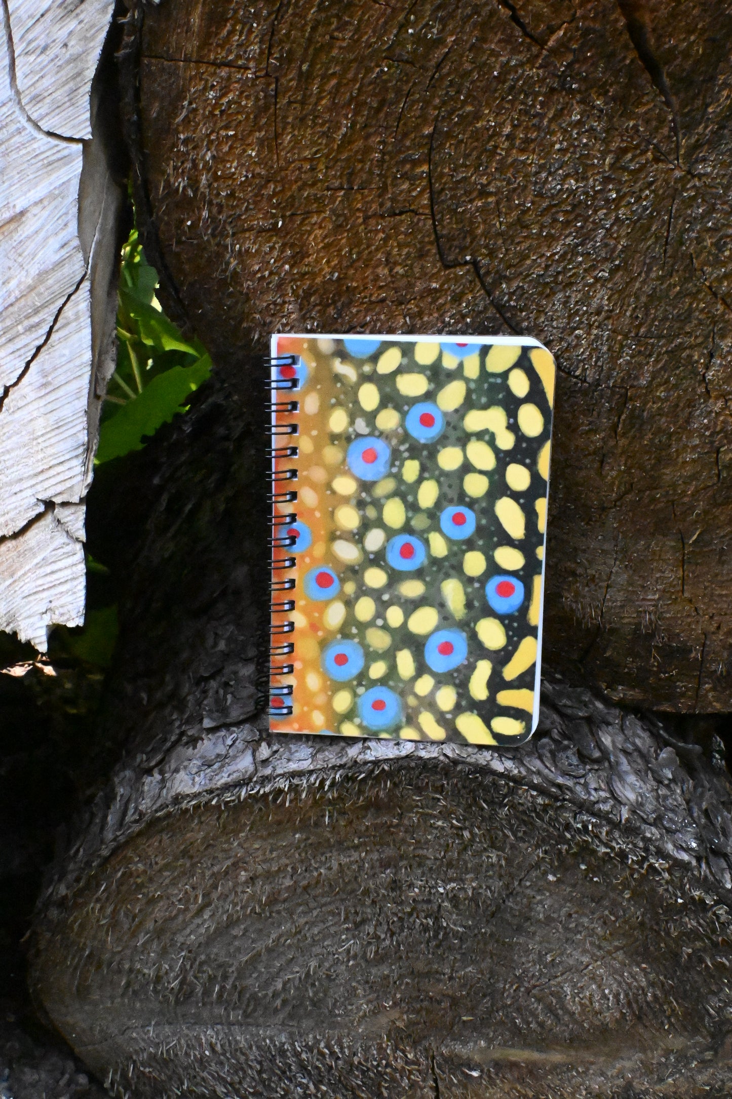 Brook Trout Notebook | Spiral 4 x 6 Laminated Journal