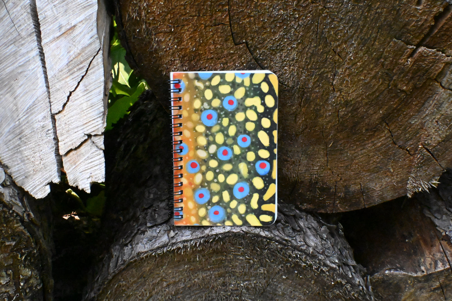 Brook Trout Notebook | Spiral 4 x 6 Laminated Journal