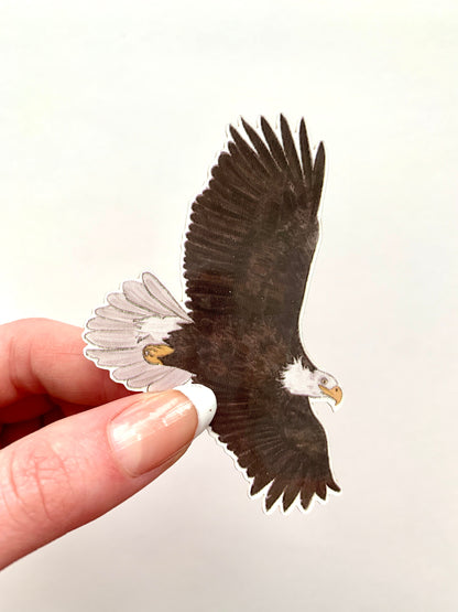 Bald Eagle Sticker: Hand-Drawn Waterproof Decal (3" x 2")