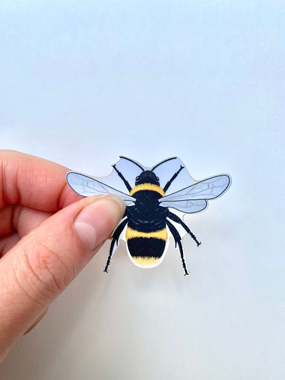 Waterproof Bee Sticker: Hand-Drawn Mini Decal (2" x 1.5")