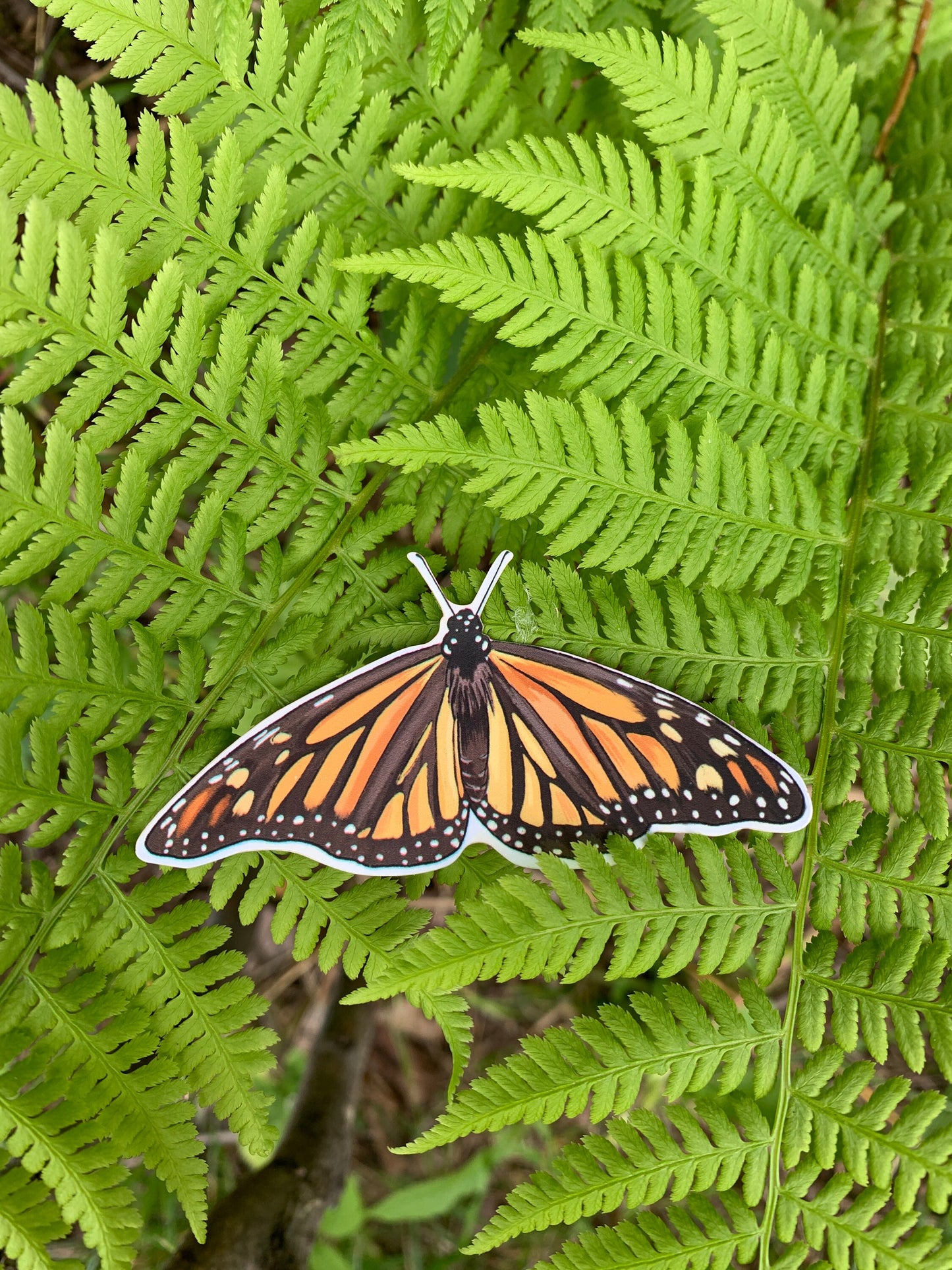 Waterproof Monarch Butterfly Sticker: Hand-Drawn Decal