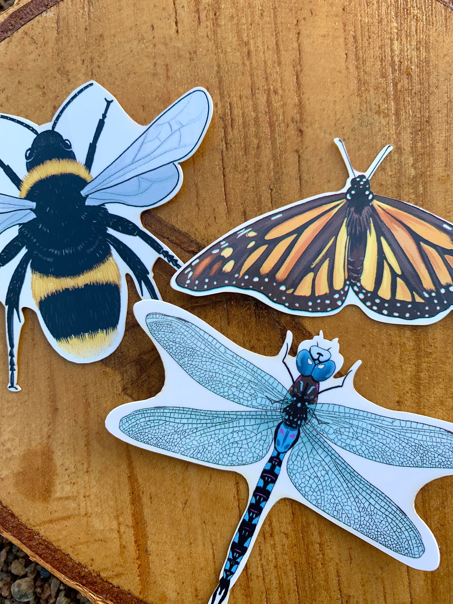 Waterproof Insect Sticker Pack: Hand-Drawn MN Bug Stickers
