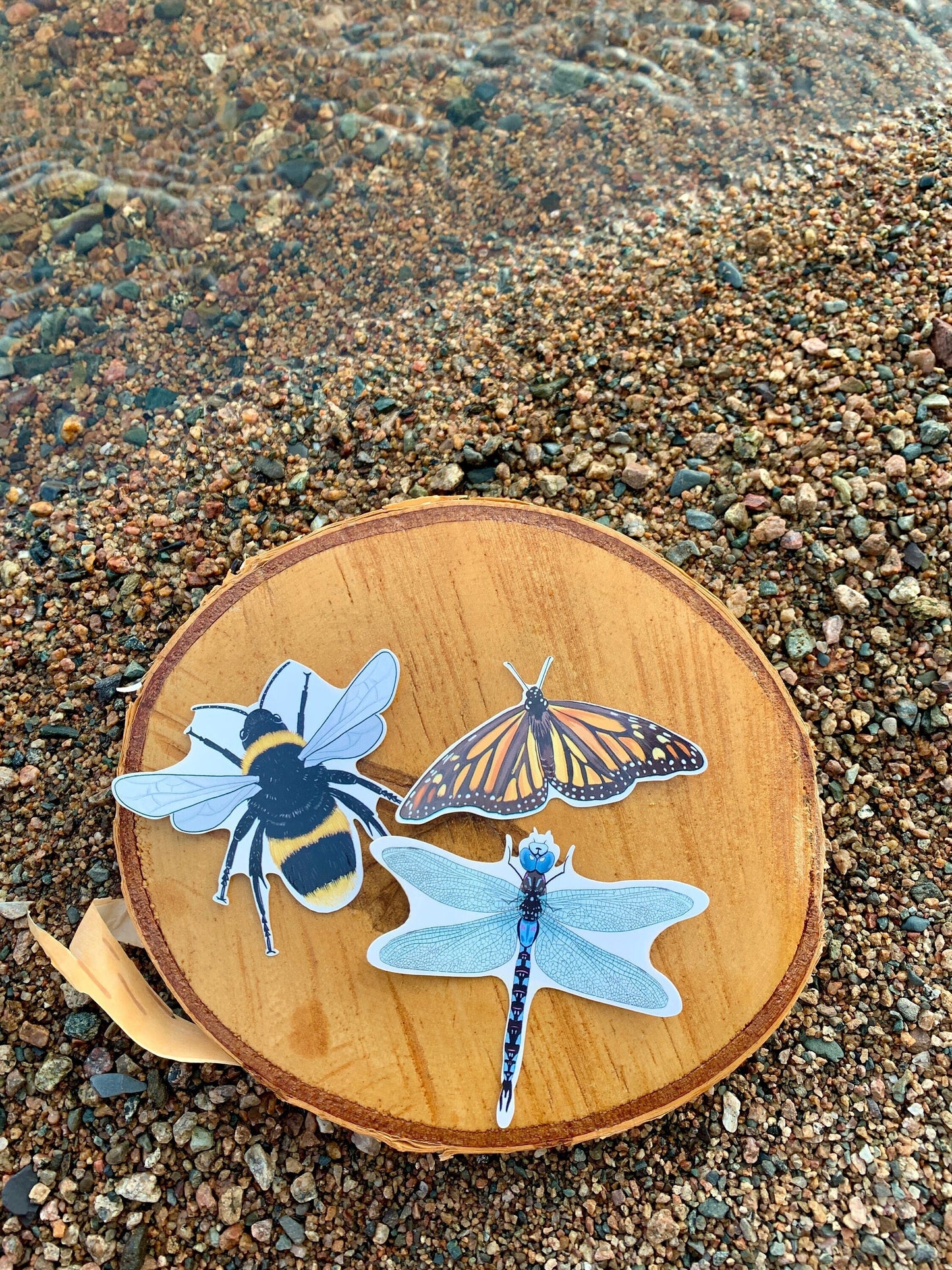 Waterproof Insect Sticker Pack: Hand-Drawn MN Bug Stickers