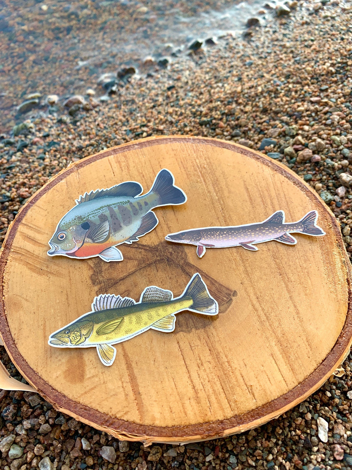 Waterproof Fish Sticker Pack: Hand-Drawn Fishing Decals