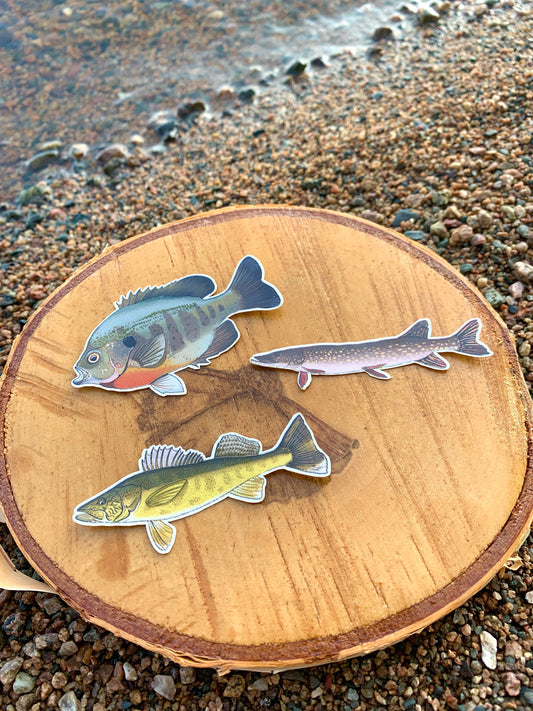 Waterproof Fish Sticker Pack: Hand-Drawn Fishing Decals