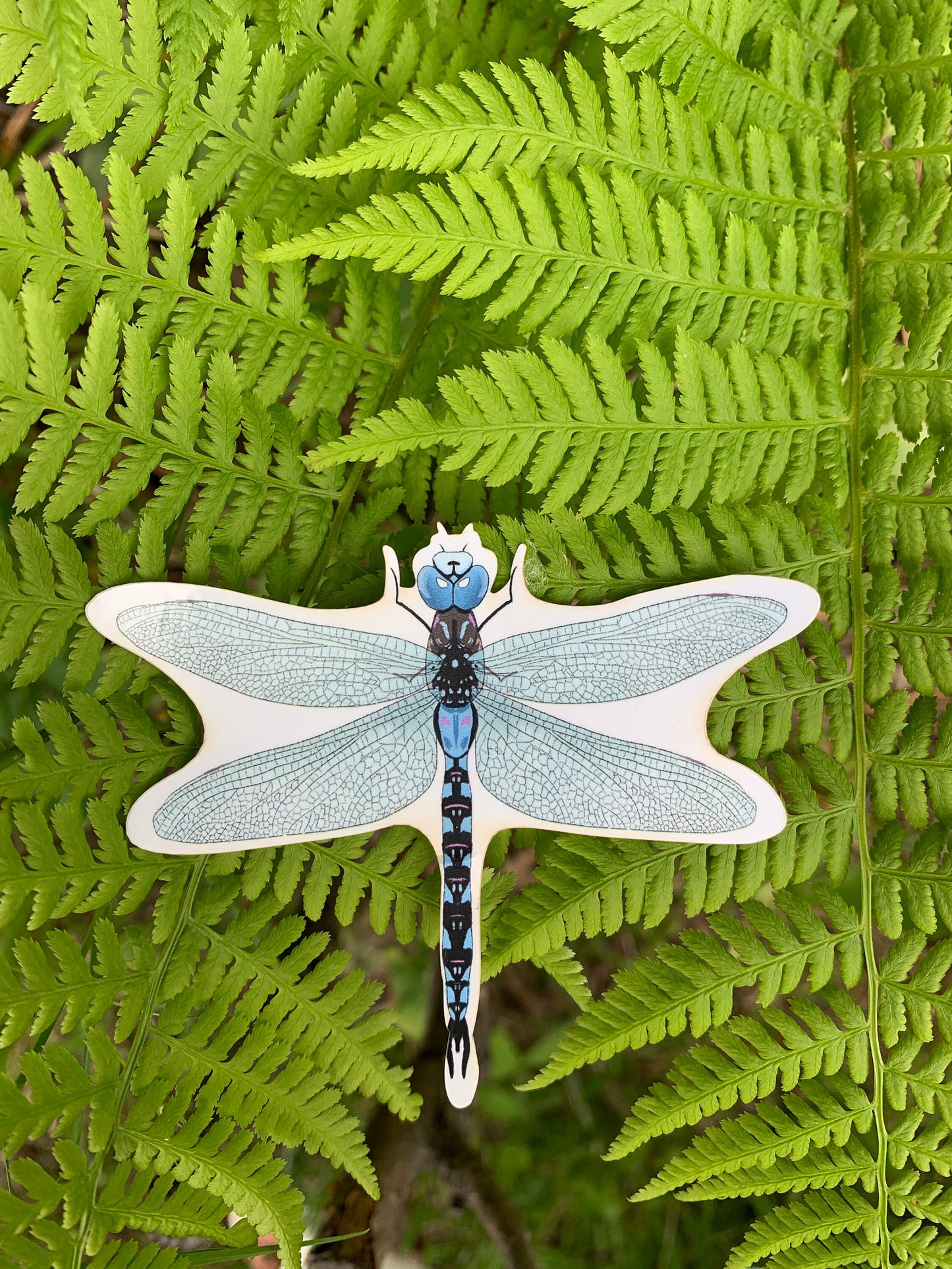 Dragonfly Sticker: Waterproof Outdoorsy Decal
