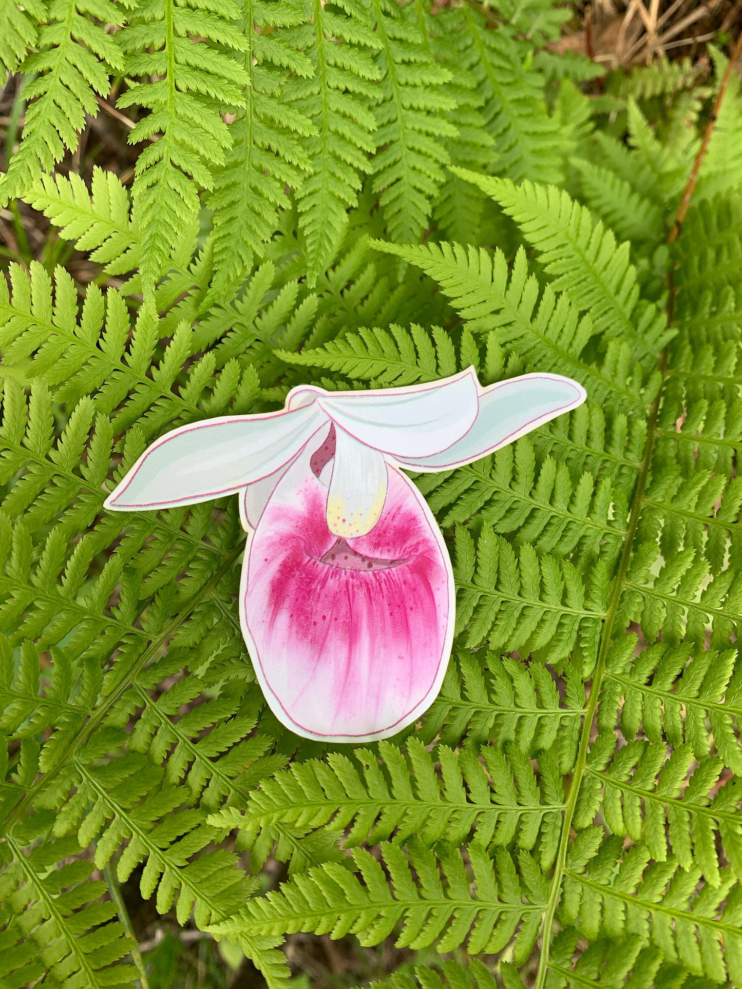 Lady Slipper Sticker: MN State Flower, Waterproof Decal