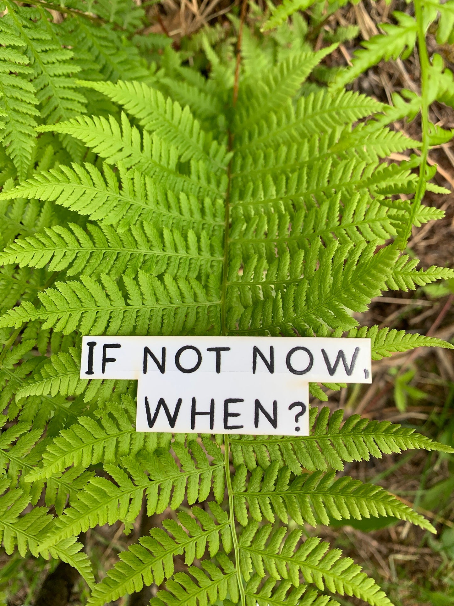 If Not Now When Sticker | Inspirational Decal | Waterproof Sticker | Water Bottle Label | Laptop Sticker | Best Friend Gift | Teacher Gift