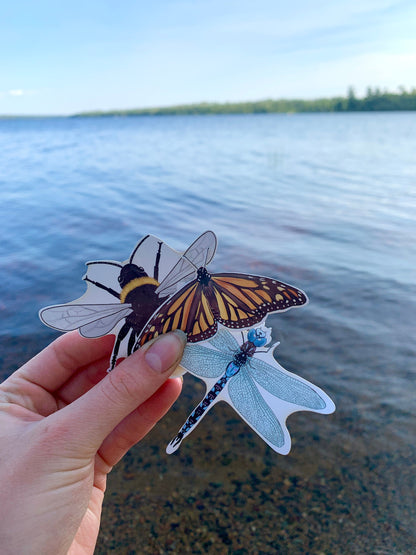 Waterproof Insect Sticker Pack: Hand-Drawn MN Bug Stickers