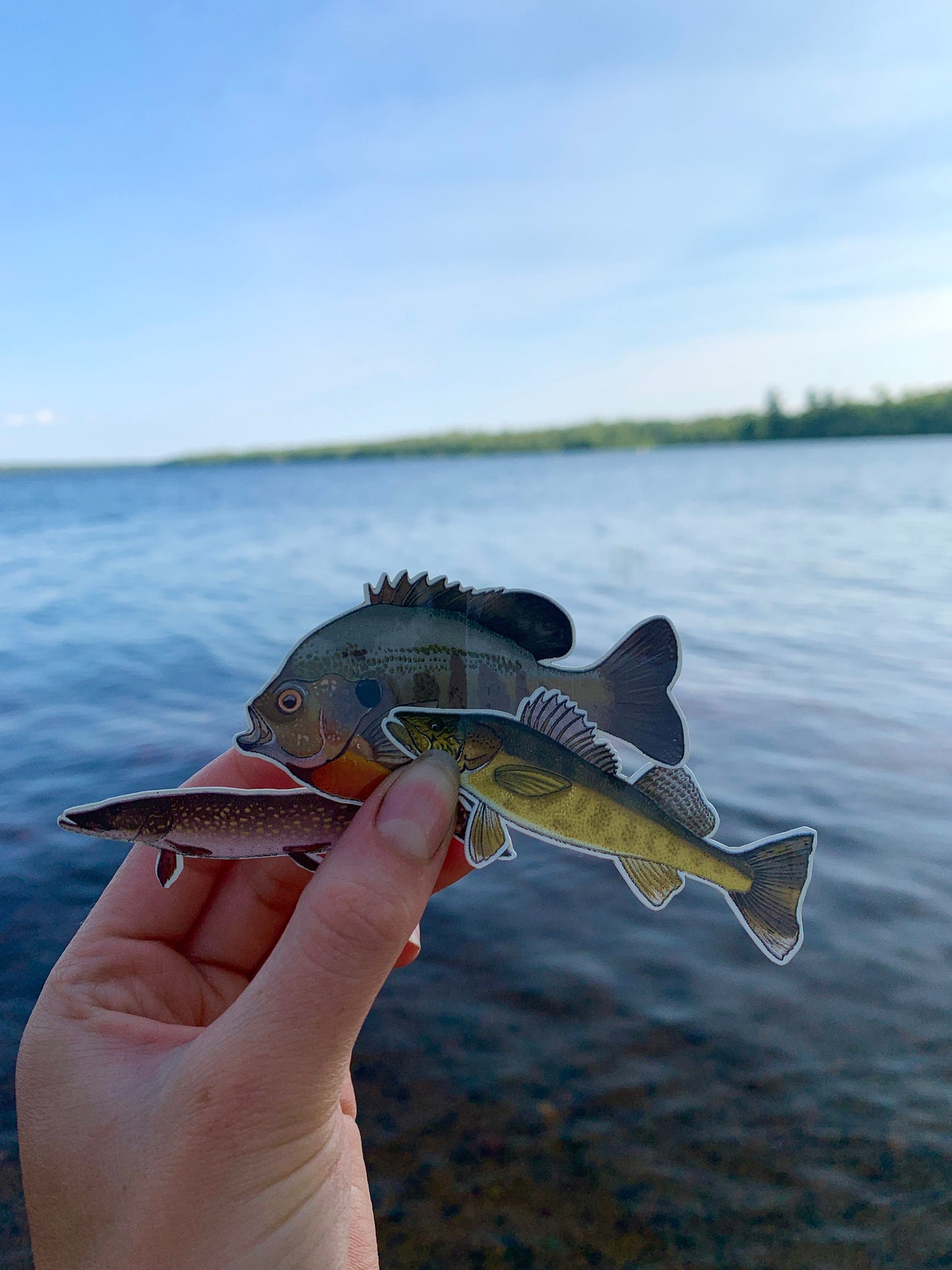 Waterproof Fish Sticker Pack: Hand-Drawn Fishing Decals