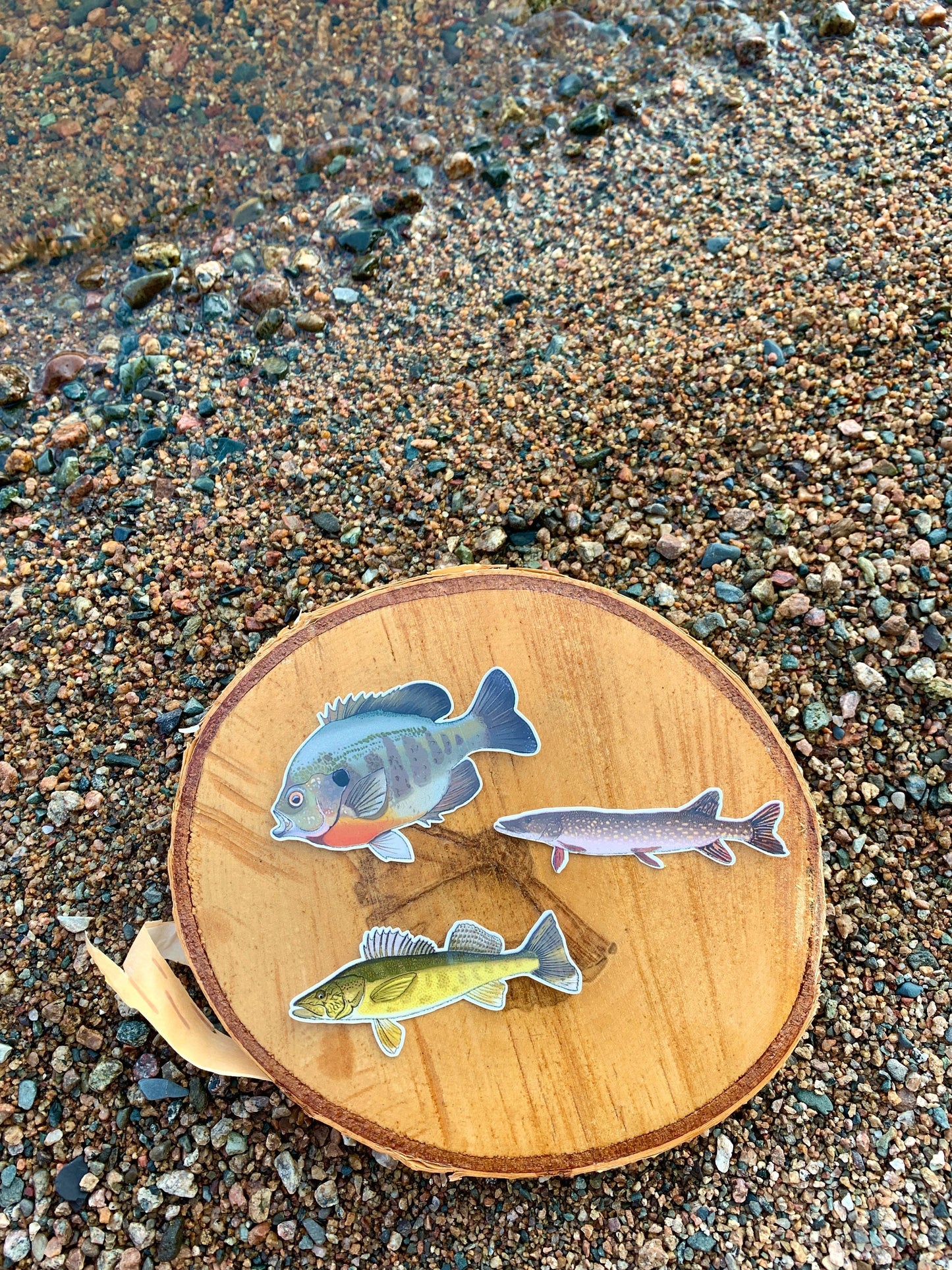 Waterproof Fish Sticker Pack: Hand-Drawn Fishing Decals