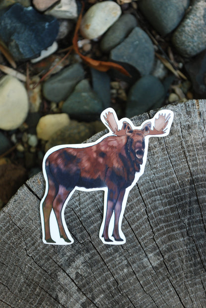 Waterproof Moose Sticker: Hand-Drawn Forest Animal Decal