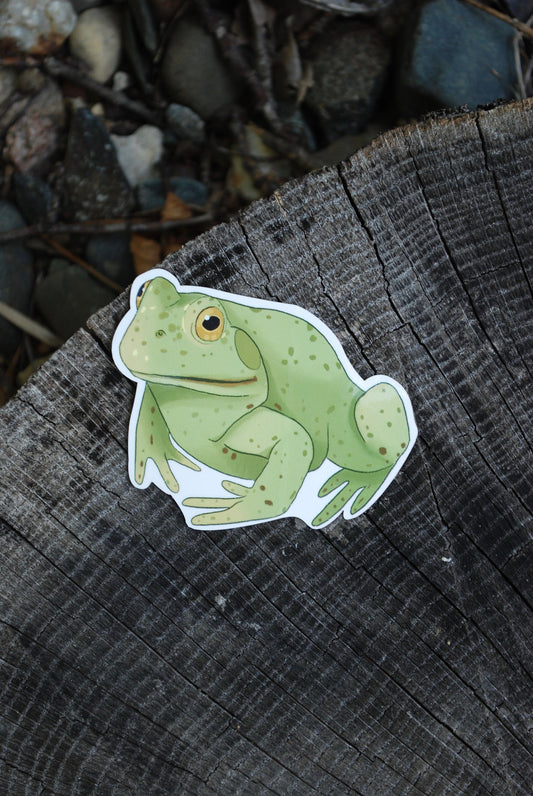 Hand-Drawn Frog Sticker: Waterproof Laptop Decal