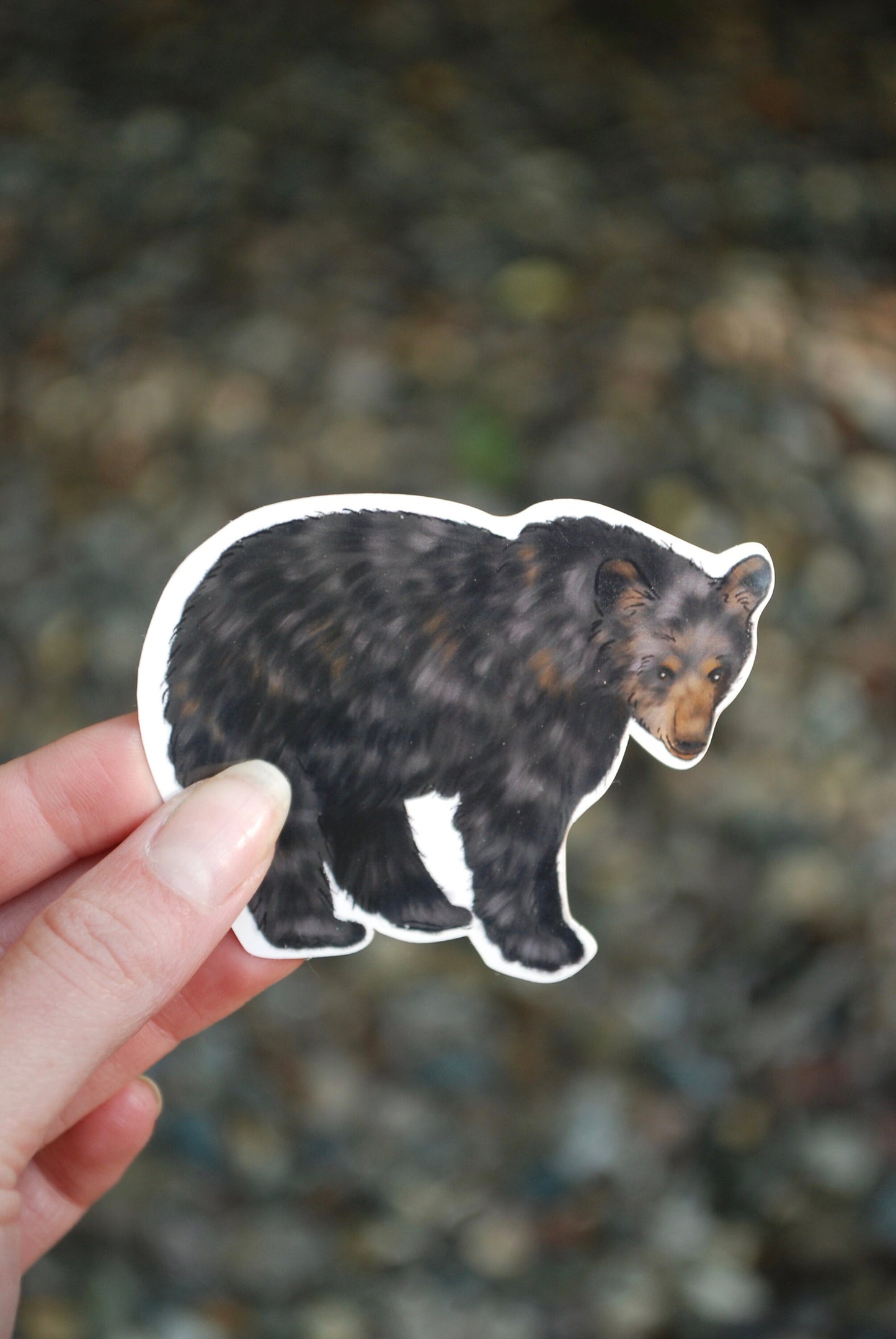 Waterproof Black Bear Sticker: Hand-Drawn Wildlife Decal