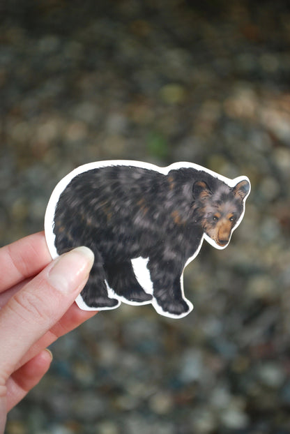 Waterproof Black Bear Sticker: Hand-Drawn Wildlife Decal