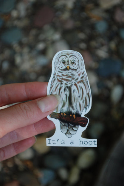 It's A Hoot Owl Sticker: Waterproof Laptop Decal