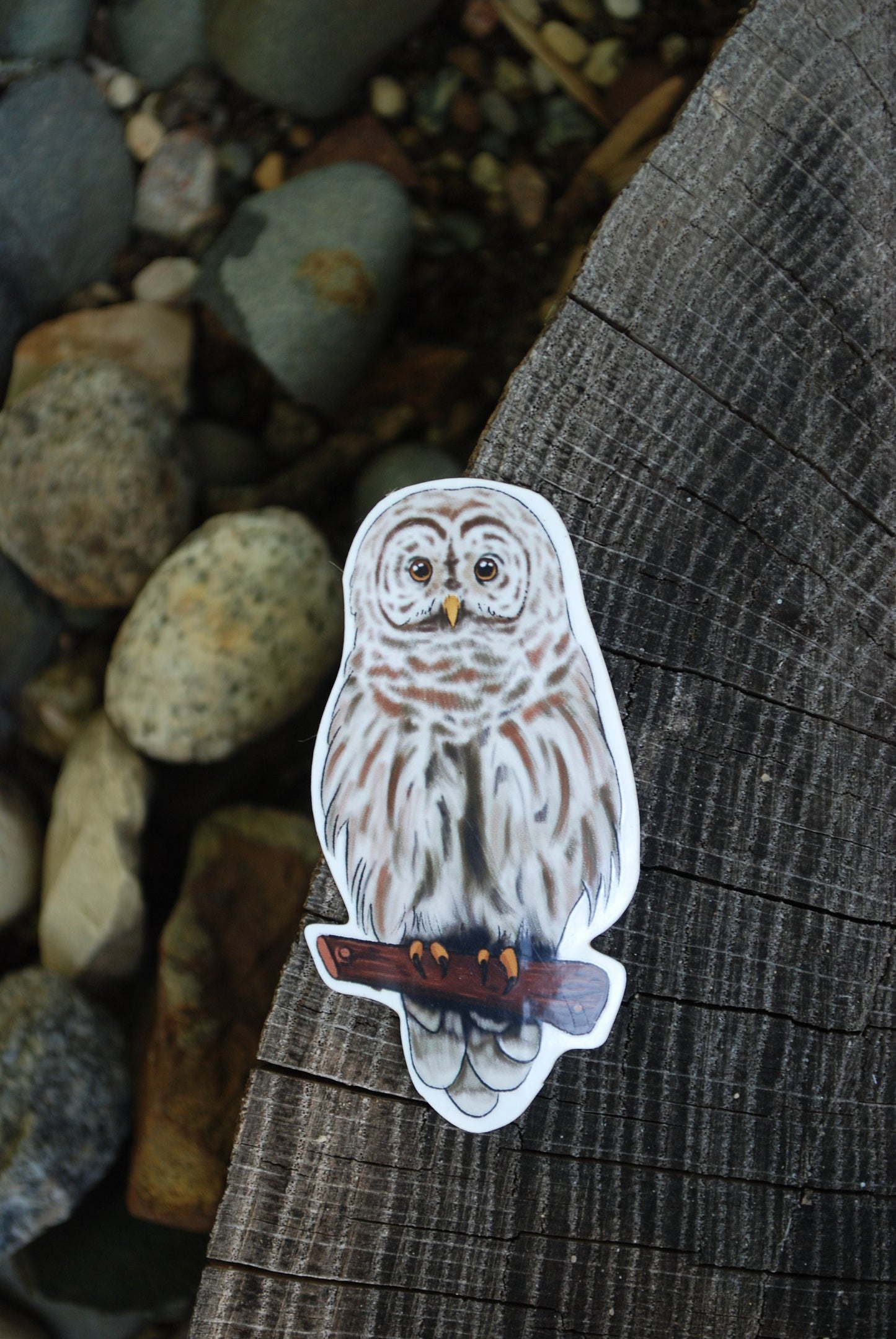 Owl Sticker: Waterproof Wildlife Decal