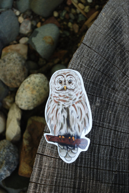 Owl Sticker: Waterproof Wildlife Decal