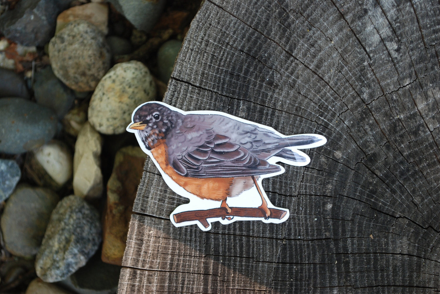 Robin Sticker: Waterproof Bird Decal for Laptop, Water Bottle