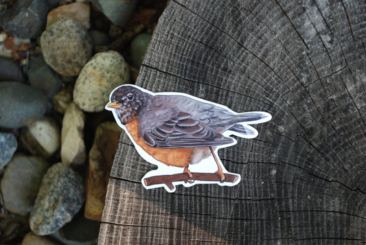 Robin Sticker: Waterproof Bird Decal for Laptop, Water Bottle
