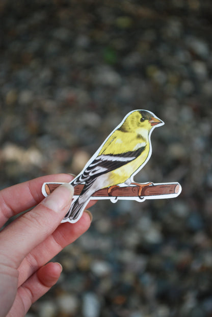 Finch Sticker: Waterproof Bird Laptop Decal
