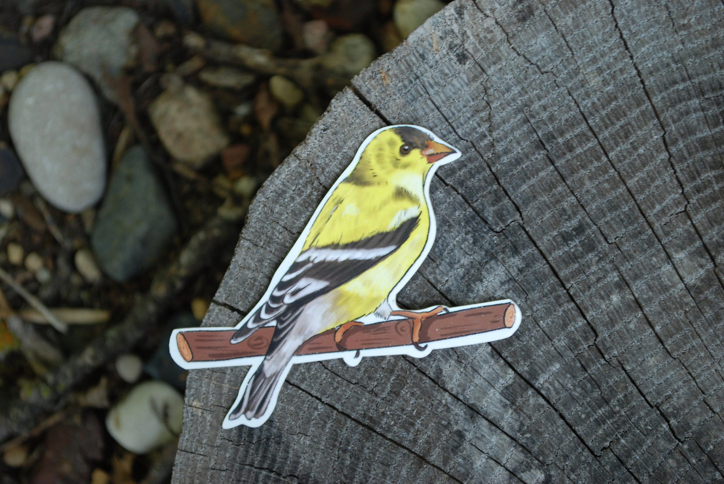 Finch Sticker: Waterproof Bird Laptop Decal