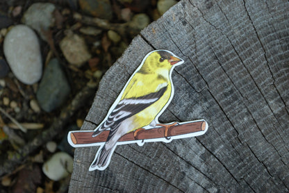 Finch Sticker: Waterproof Bird Laptop Decal